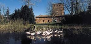 L’oasi naturale di Sant’Alessio, vicino a Pavia, dove sorge l’omonimo castello medioevale tra i più suggestivi d’Italia