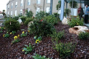 In alto, il presidente Lidio Clementi assieme a Pompea Ruggia (seconda da sinistra) presidente della Fondazione Il Cerchio, il sindaco di Busto Garolfo, Giovanni Alli, e il sindaco di Canegrate, Valter Cassani. Sotto, a sinistra, foto di gruppo durante la presentazione del nuovo giardino della casa di riposo San Remigio e, a fianco, un particolare della nuova area verde che terrà compagnia agli anziani ospiti della struttura.