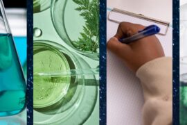Ricerca scientifica