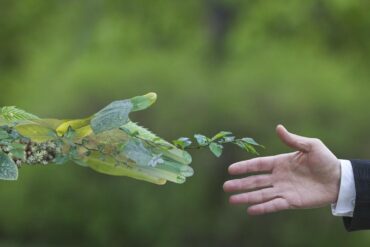 ecologia ambiente sostenibilità