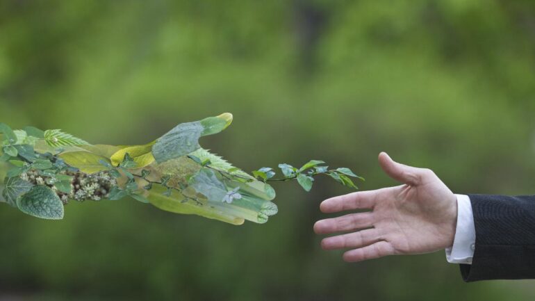 ecologia ambiente sostenibilità