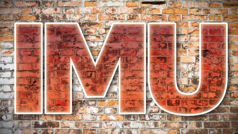 Imu