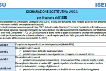 DSU Dichiarazione Unica Sostitutiva